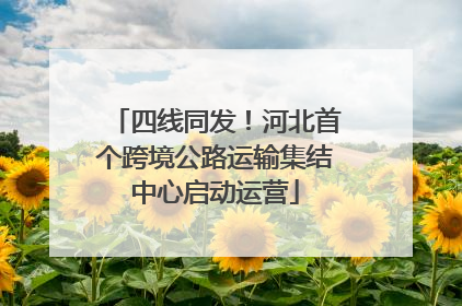 四线同发！河北首个跨境公路运输集结中心启动运营