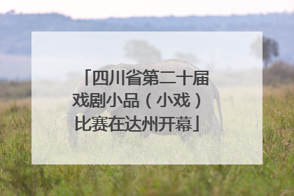 四川省第二十届戏剧小品（小戏）比赛在达州开幕