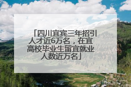 四川宜宾三年招引人才近6万名，在宜高校毕业生留宜就业人数近万名