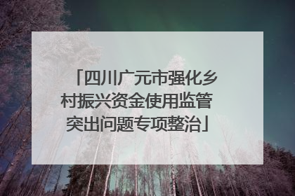 四川广元市强化乡村振兴资金使用监管突出问题专项整治