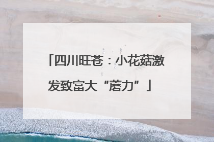 四川旺苍：小花菇激发致富大“蘑力”