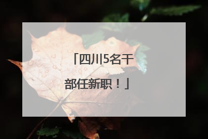 四川5名干部任新职！