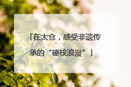 在太仓，感受非遗传承的“硬核浪漫”