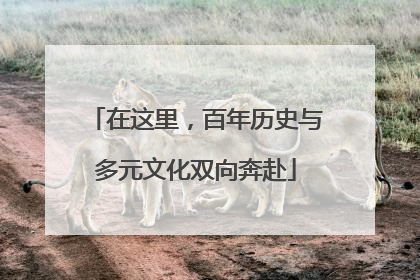 在这里，百年历史与多元文化双向奔赴