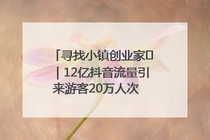 寻找小镇创业家㊱｜12亿抖音流量引来游客20万人次 “襄阳许三多”爆改家乡打造网红村