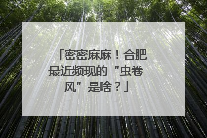 密密麻麻！合肥最近频现的“虫卷风”是啥？