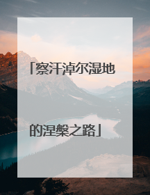 察汗淖尔湿地的涅槃之路