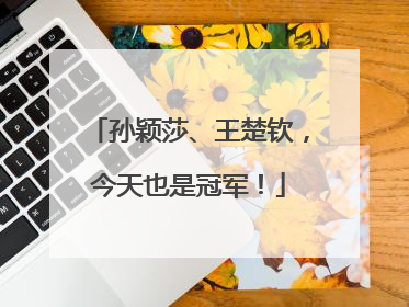 孙颖莎、王楚钦，今天也是冠军！