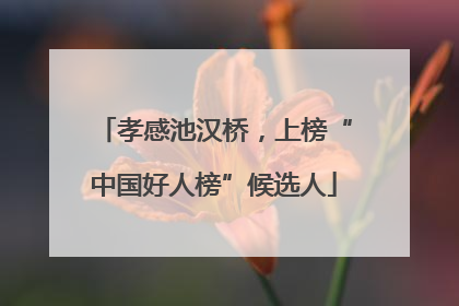 孝感池汉桥，上榜“中国好人榜”候选人