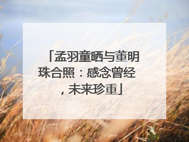 孟羽童晒与董明珠合照：感念曾经，未来珍重