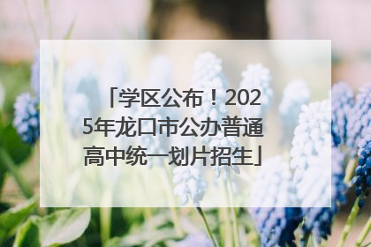 学区公布！2025年龙口市公办普通高中统一划片招生