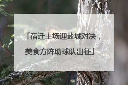 宿迁主场迎盐城对决，美食方阵助球队出征