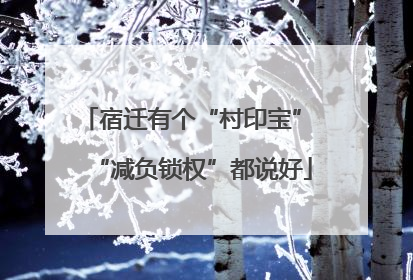 宿迁有个“村印宝” “减负锁权”都说好