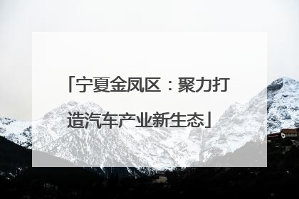 宁夏金凤区：聚力打造汽车产业新生态