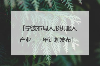 宁波布局人形机器人产业，三年计划发布