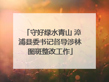 守好绿水青山 漳浦县委书记督导涉林图斑整改工作