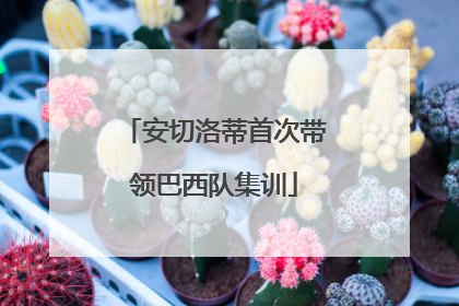安切洛蒂首次带领巴西队集训