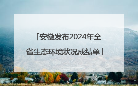 安徽发布2024年全省生态环境状况成绩单