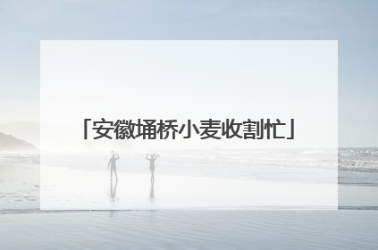 安徽埇桥小麦收割忙