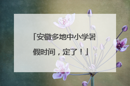 安徽多地中小学暑假时间，定了！