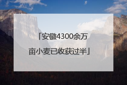 安徽4300余万亩小麦已收获过半