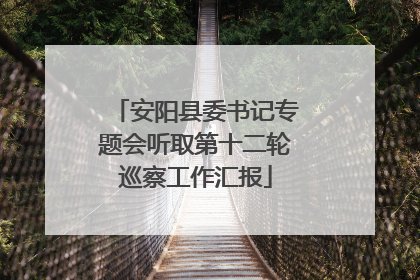 安阳县委书记专题会听取第十二轮巡察工作汇报