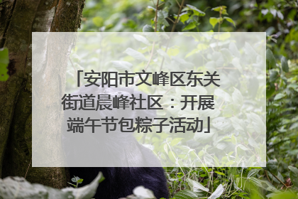 安阳市文峰区东关街道晨峰社区：开展端午节包粽子活动