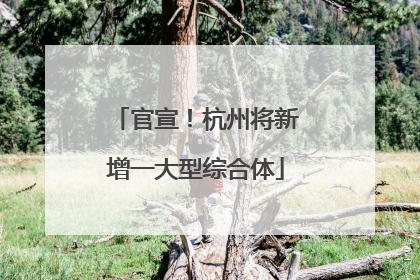 官宣！杭州将新增一大型综合体