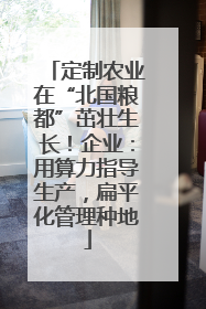 定制农业在“北国粮都”茁壮生长！企业：用算力指导生产，扁平化管理种地