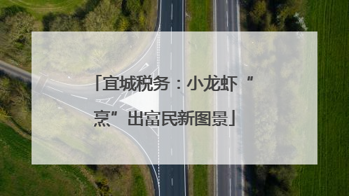 宜城税务：小龙虾“烹”出富民新图景