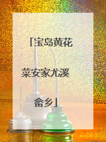 宝岛黄花菜安家尤溪畲乡