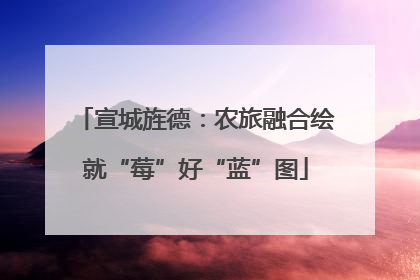 宣城旌德：农旅融合绘就“莓”好“蓝”图