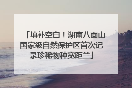 填补空白！湖南八面山国家级自然保护区首次记录珍稀物种宽距兰