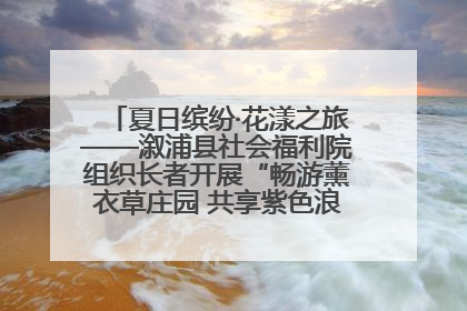 夏日缤纷·花漾之旅——溆浦县社会福利院组织长者开展“畅游薰衣草庄园 共享紫色浪漫”户外活动