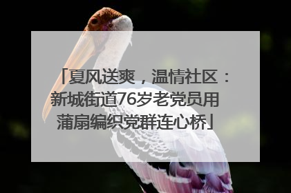 夏风送爽，温情社区：新城街道76岁老党员用蒲扇编织党群连心桥