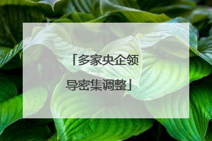 多家央企领导密集调整