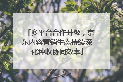 多平台合作升级，京东内容营销生态持续深化种收协同效率