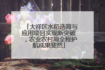 大祥区水稻选育与应用项目实现新突破，农业农村局全程护航成果斐然