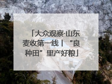 大众观察·山东麦收第一线丨“良种田”里产好粮