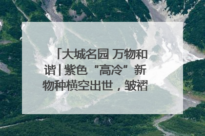 大城名园 万物和谐│紫色“高冷”新物种横空出世，皱褶叶片暗藏进化密码