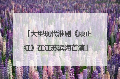 大型现代淮剧《顾正红》在江苏滨海首演