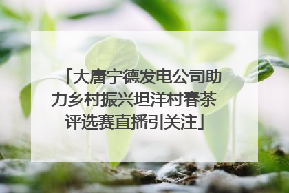 大唐宁德发电公司助力乡村振兴坦洋村春茶评选赛直播引关注