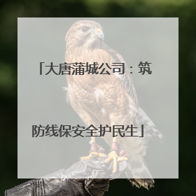 大唐蒲城公司：筑防线保安全护民生