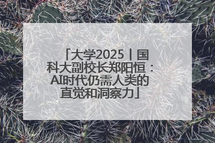 大学2025丨国科大副校长郑阳恒：AI时代仍需人类的直觉和洞察力