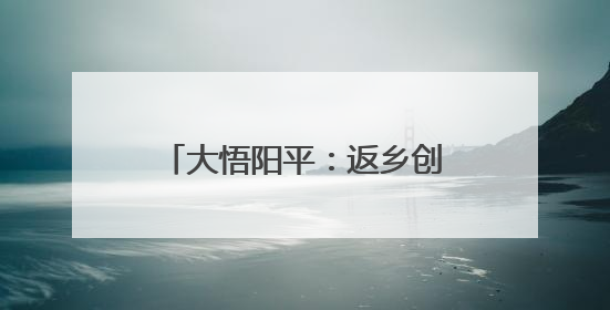大悟阳平：返乡创办合作社，种出乡村振兴“金稻子”
