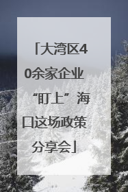大湾区40余家企业“盯上”海口这场政策分享会