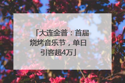 大连金普：首届烧烤音乐节，单日引客超4万