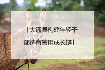 大通县构建年轻干部选育管用成长链