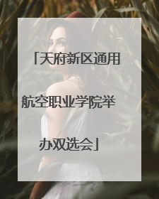 天府新区通用航空职业学院举办双选会
