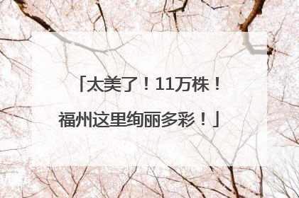 太美了！11万株！福州这里绚丽多彩！